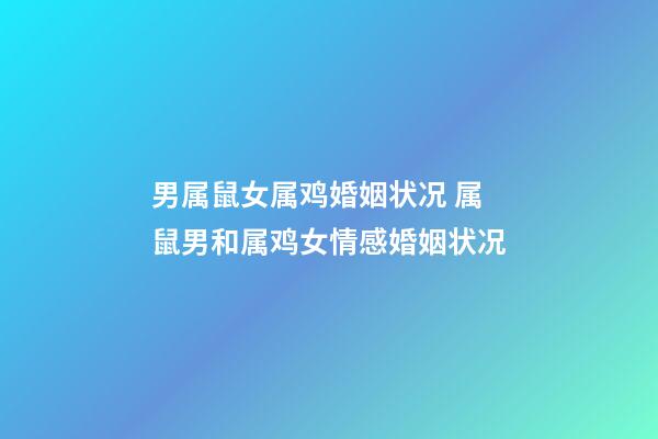 男属鼠女属鸡婚姻状况 属鼠男和属鸡女情感婚姻状况